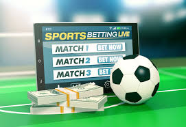 Explore Betwinner The Ultimate Betting Experience 308444222